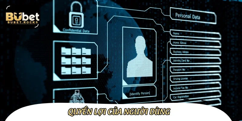 Quyền lợi của mỗi người dùng khi tham gia cá cược online tại đây