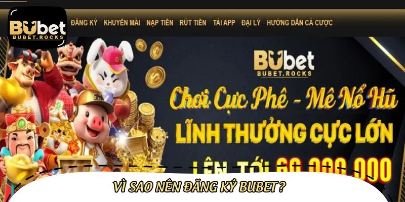 Thành viên đăng ký Bubet được hưởng nhiều đặc quyền thiết thực