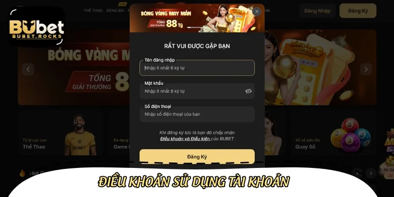 Các quy định về việc đăng ký và sử dụng tài khoản cá nhân