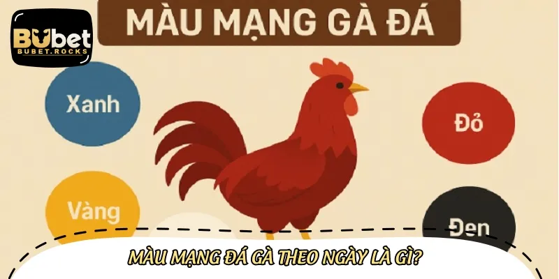 Màu mạng gà đá theo ngày là liên hệ màu lông chiến kê với ngũ hành