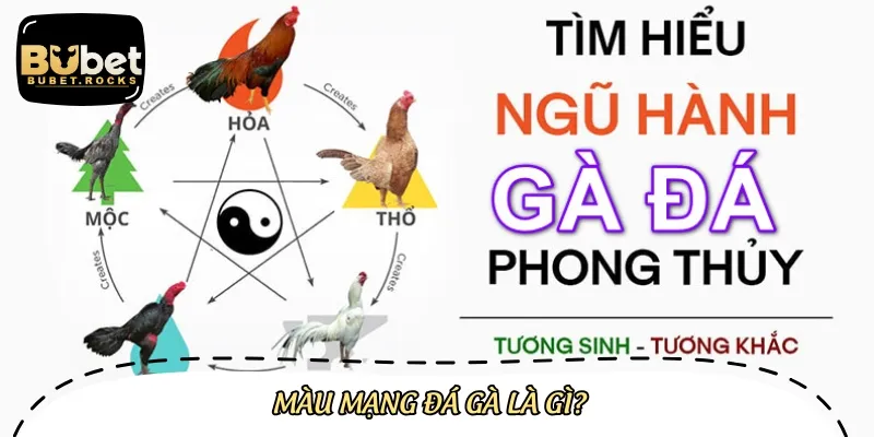 Màu mạng đá gà là khái niệm dựa vào nguyên tắc ngũ hành